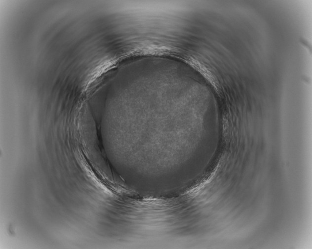 X0000094780581200712071207