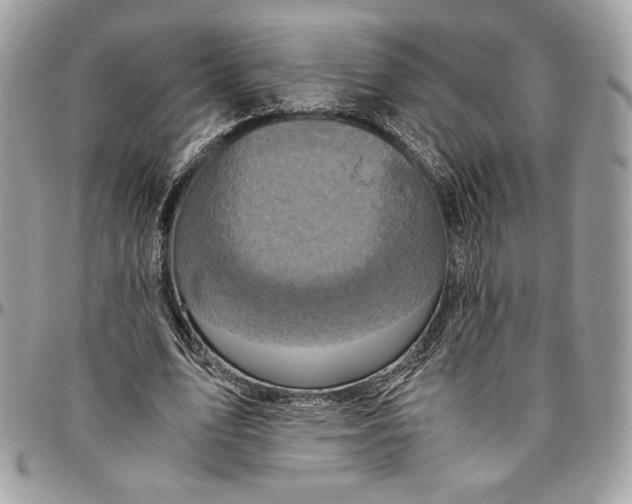 X0000094780583200712071207