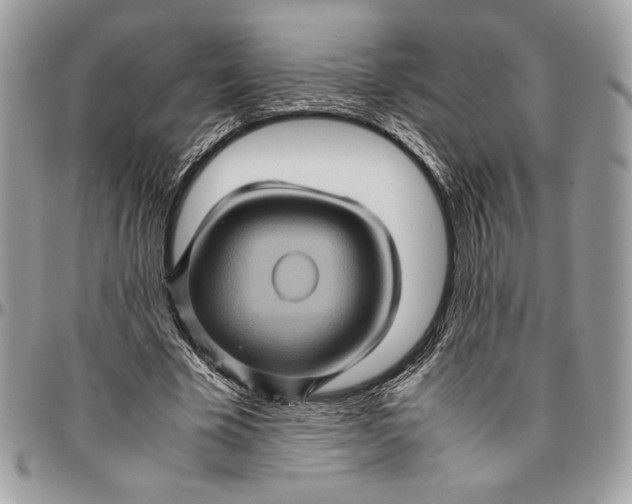 X0000094780585200712071207