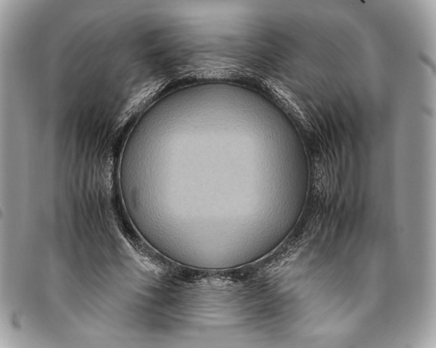 X0000094780586200712071207