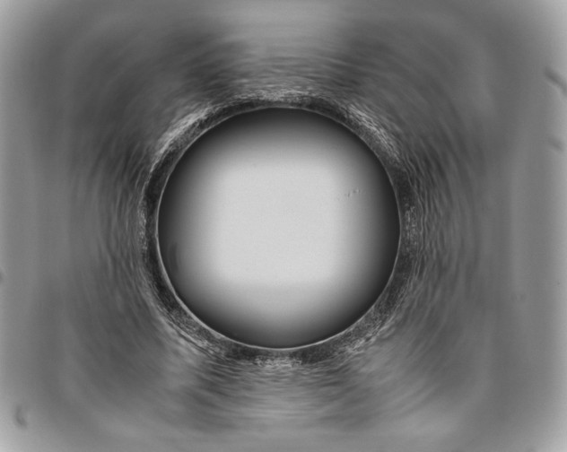 X0000094780587200712071207