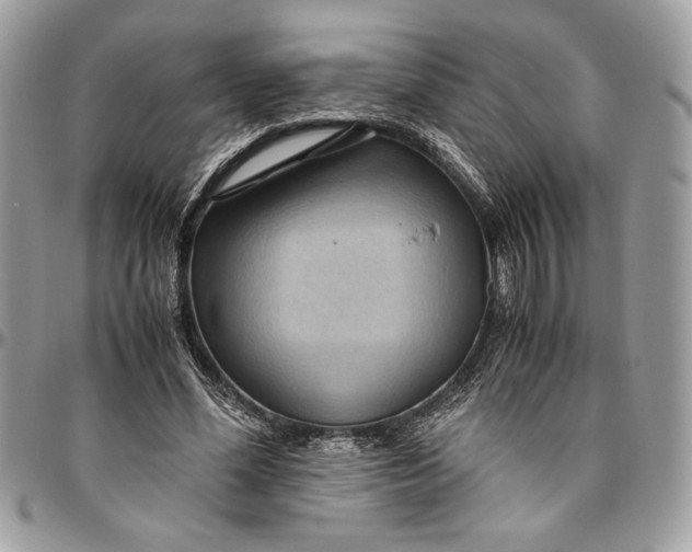 X0000094780588200712071207