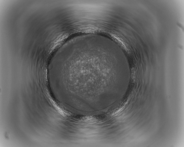 X0000094780589200712071207