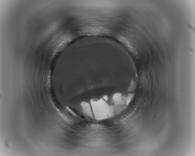 X0000094780590200712071206