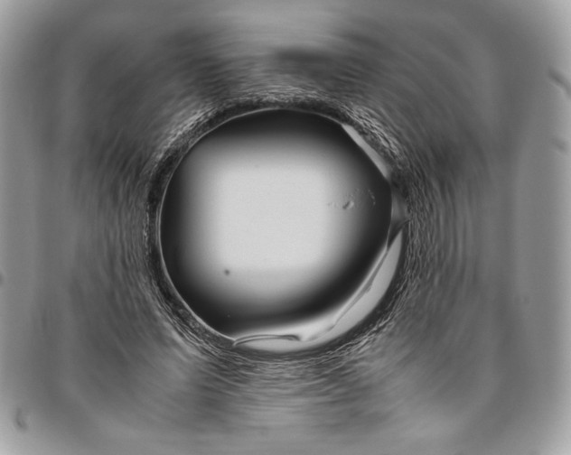 X0000094780591200712071206