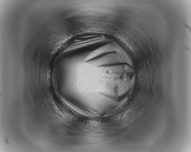 X0000094780592200712071206