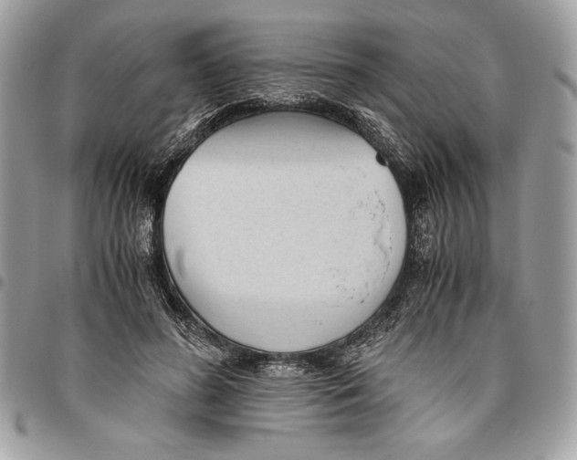 X0000094780596200712071206