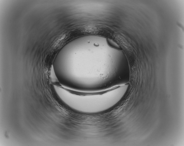 X0000094780597200712071206