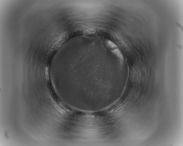 X0000094780598200712071206