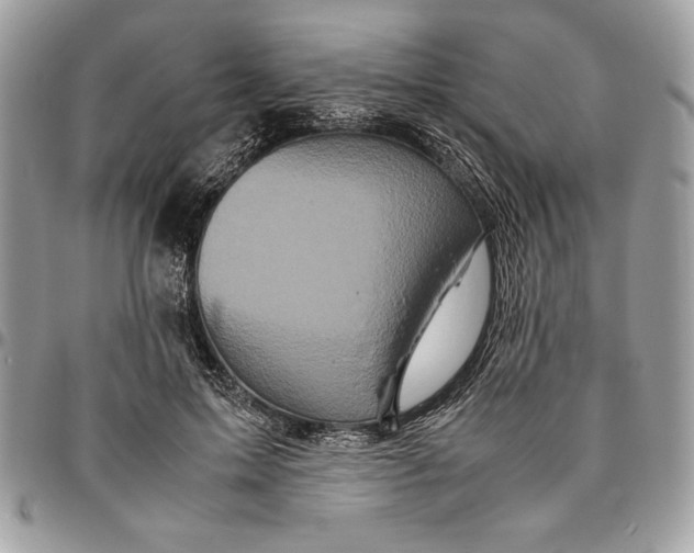 X0000094780599200712071206