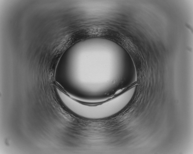 X0000094780601200712071206