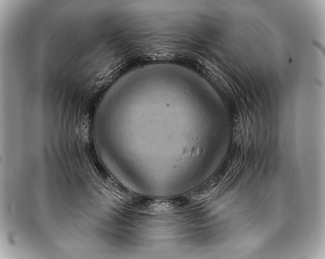 X0000094780604200712071206