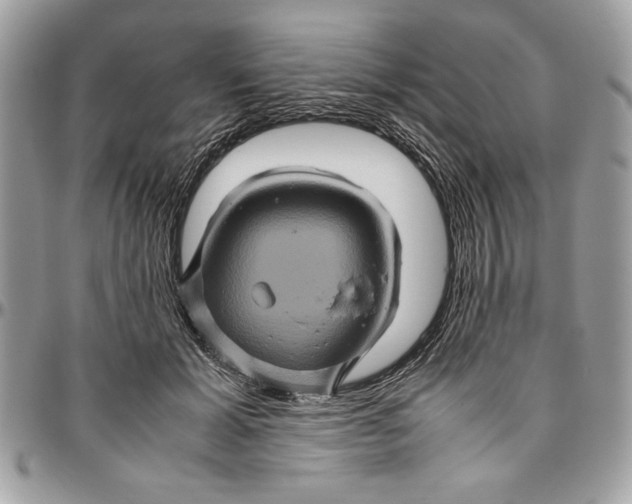 X0000094780605200712071206