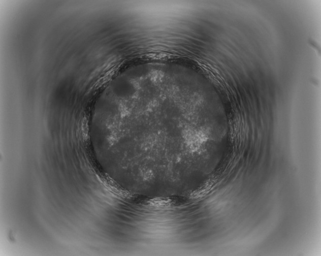 X0000094780606200712071206