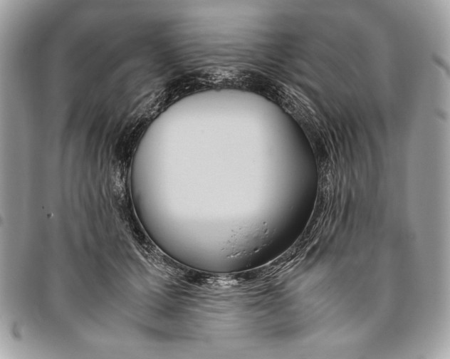 X0000094780607200712071206