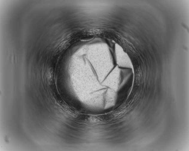 X0000094780608200712071206