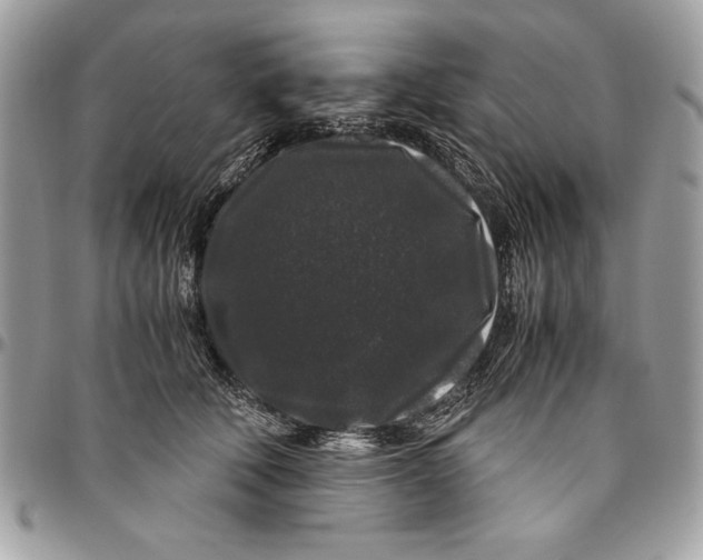 X0000094780610200712071206