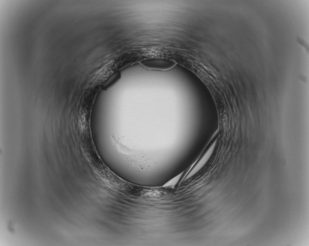 X0000094780611200712071206