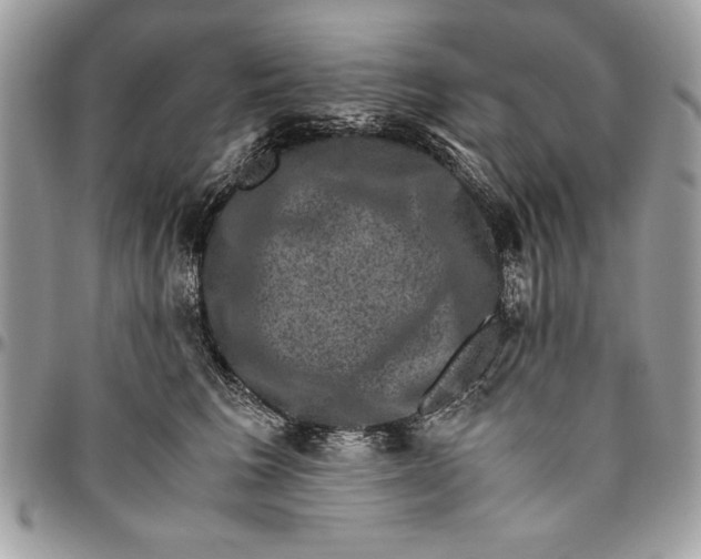 X0000094780613200712071206