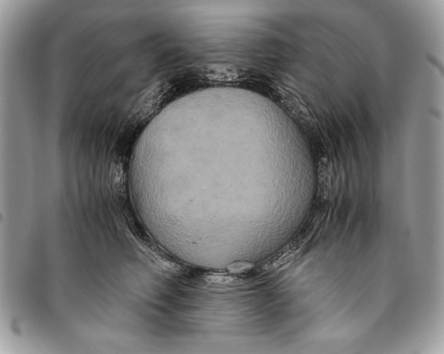 X0000094780614200712071206