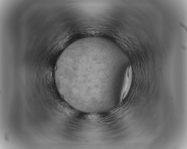 X0000094780615200712071206