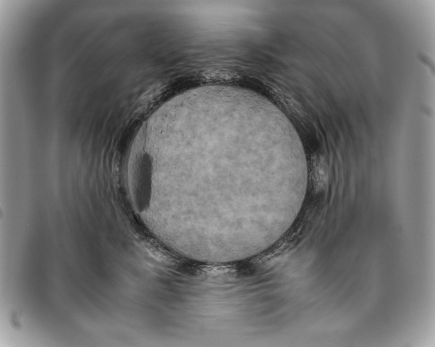 X0000094780619200712071206