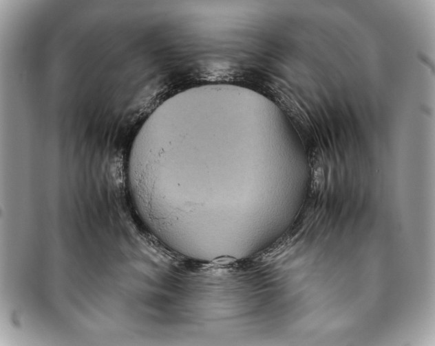 X0000094780620200712071206