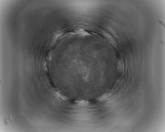 X0000094780621200712071206