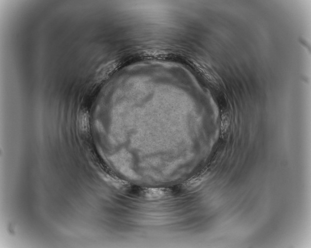 X0000094780623200712071206