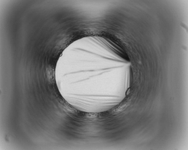 X0000094780624200712071206