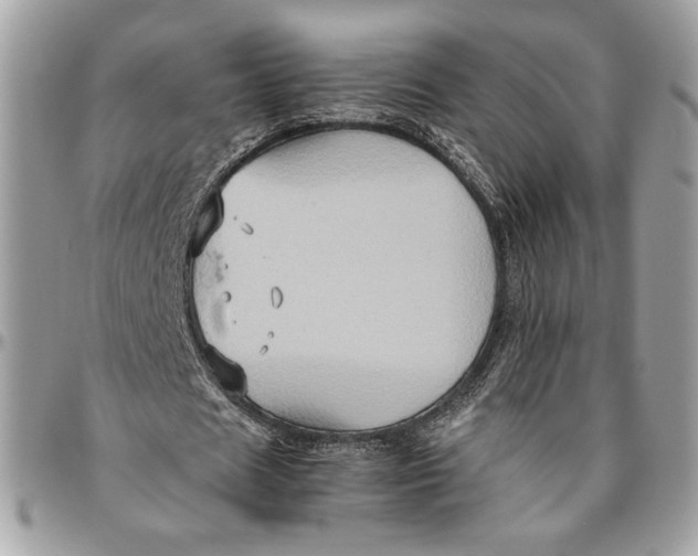 X0000094780625200712071205