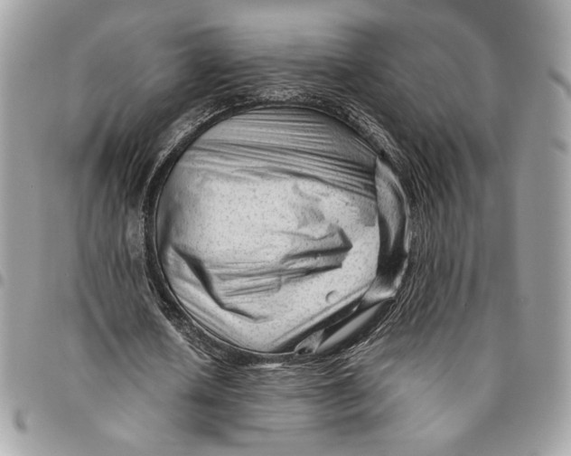 X0000094780626200712071205