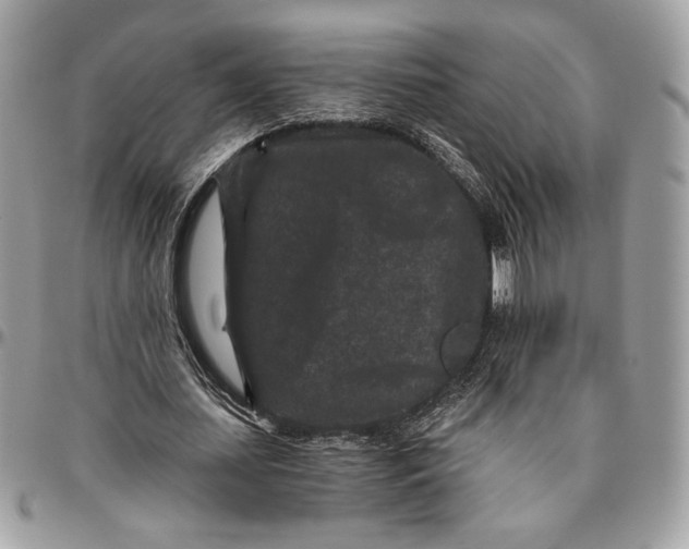 X0000094780627200712071205