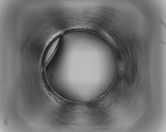 X0000094780628200712071205