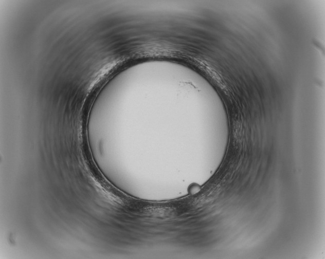 X0000094780629200712071205