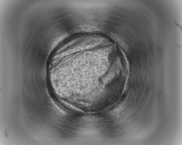 X0000094780630200712071205