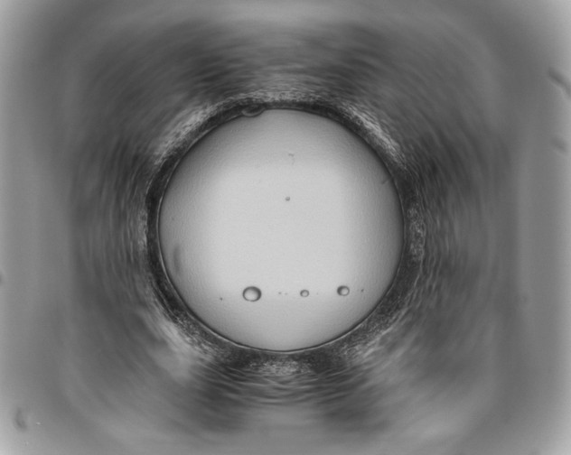 X0000094780631200712071205