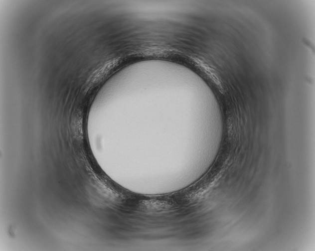 X0000094780633200712071205