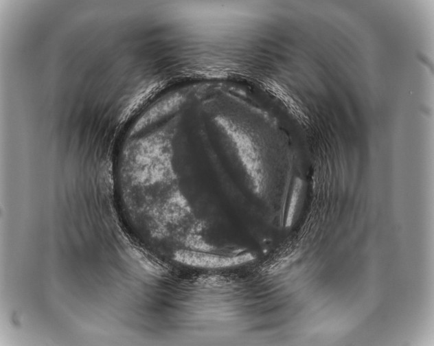 X0000094780634200712071205