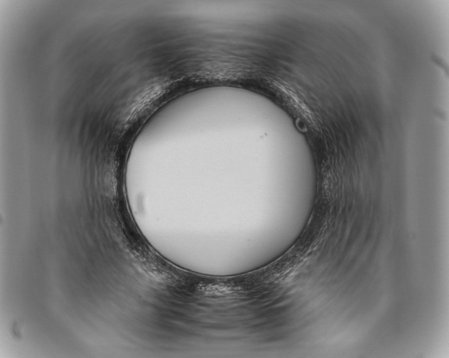 X0000094780635200712071205