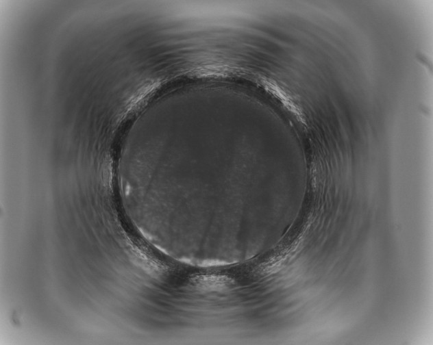 X0000094780637200712071205