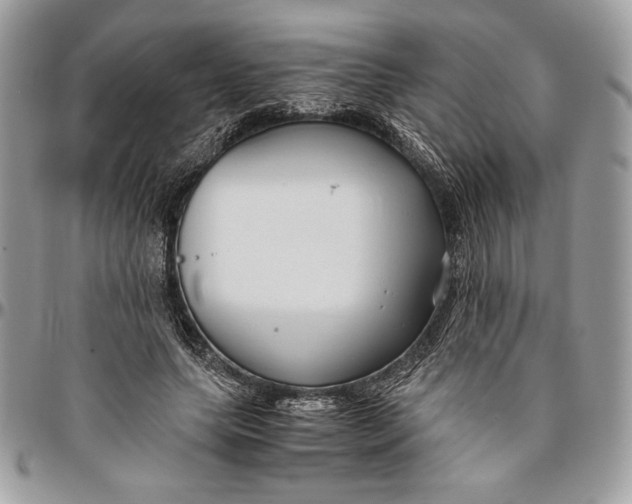 X0000094780639200712071205