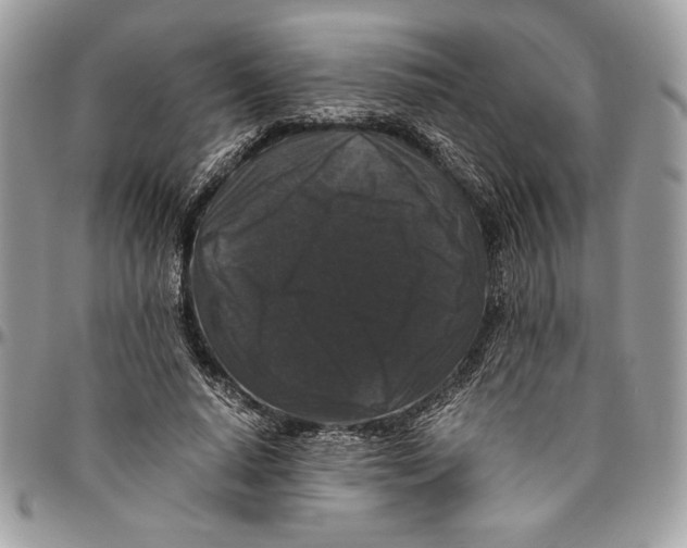 X0000094780640200712071205