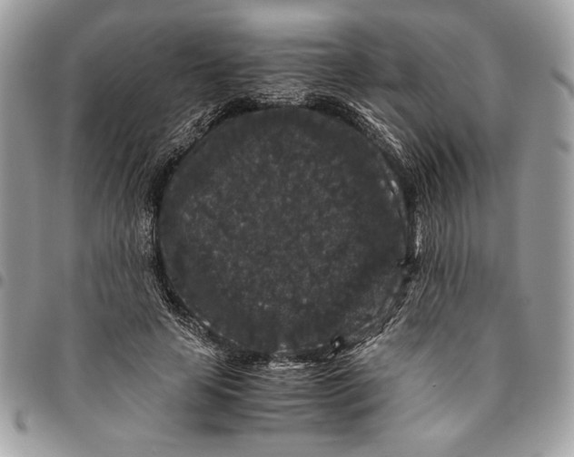 X0000094780641200712071205