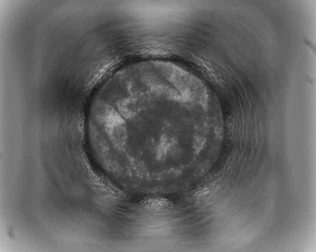 X0000094780642200712071205