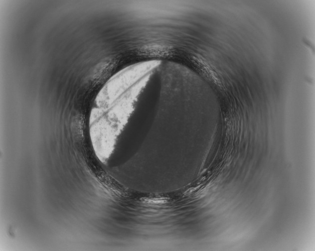 X0000094780643200712071205