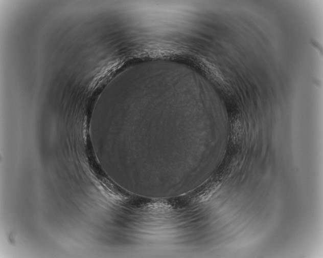 X0000094780644200712071205