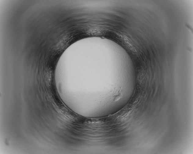 X0000094780645200712071205