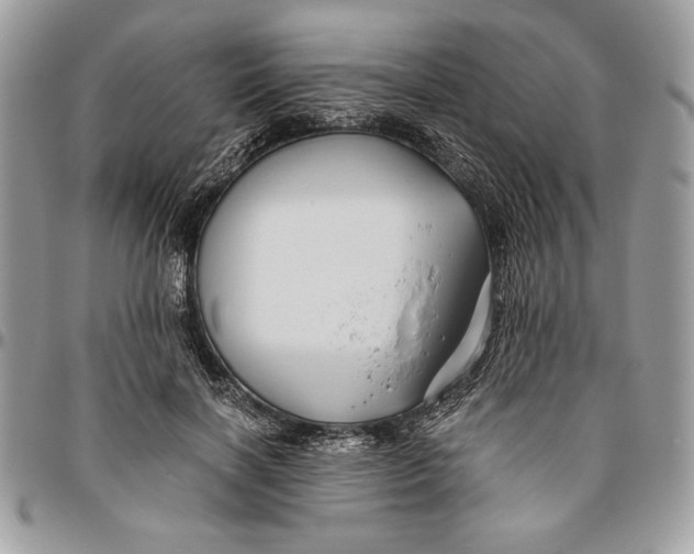 X0000094780646200712071205