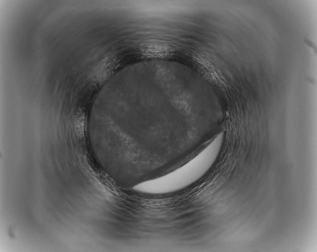 X0000094780647200712071206